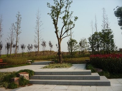 上塘河綜合保護與開發工程(繞城公路-天都城)景觀綠化工程02標