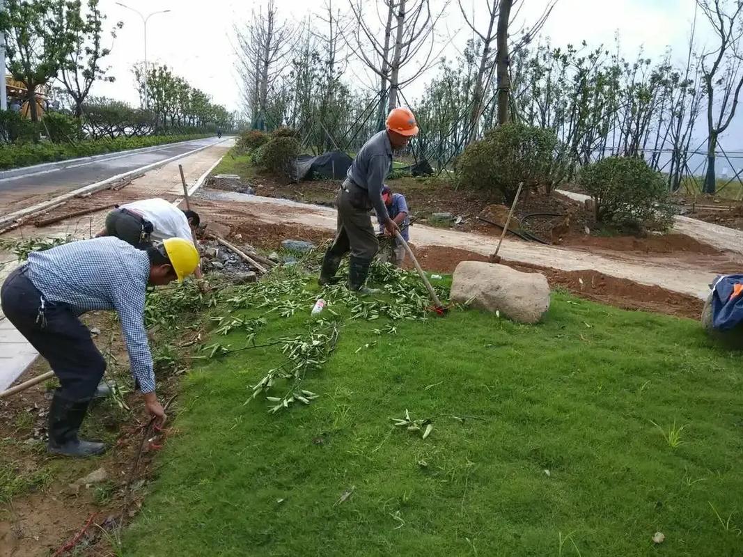 景觀綠化工程.景觀綠化工程別墅庭院造景,以自然為畫(huà)布,打造獨(dú)