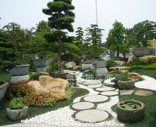 合肥道路景觀綠化工程施工 安徽天倫市政建設(shè)公司的專(zhuān)業(yè)實(shí)踐